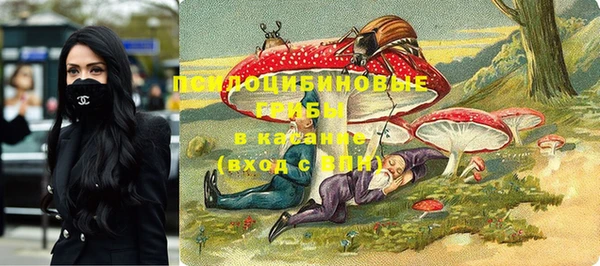 метадон Горнозаводск