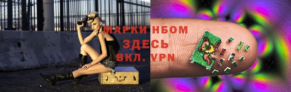 тгк Володарск