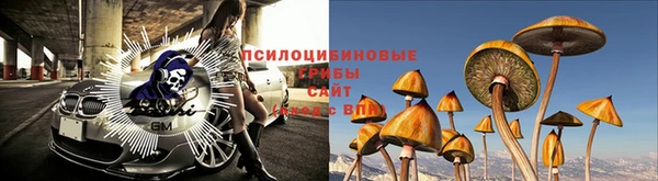 метадон Горнозаводск