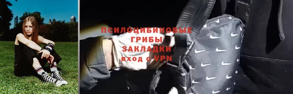 тгк Володарск