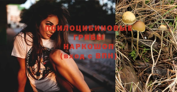стафф Горняк