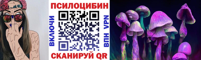 Галлюциногенные грибы GOLDEN TEACHER  blacksprut онион  Хабаровск 